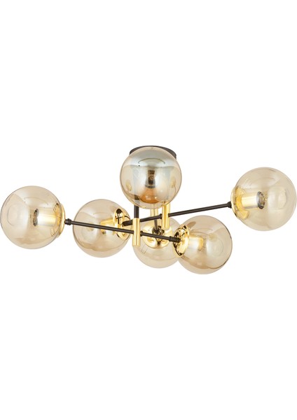 Maral 6Lı Siyah Gold Bal Camlı Modern Genç Odası Yatak Odası Retro Salon Avize