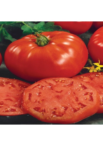 Tacirdepoticaret Hbrid BT86 F1 Oturak Domates Tohumu -20 Tohum