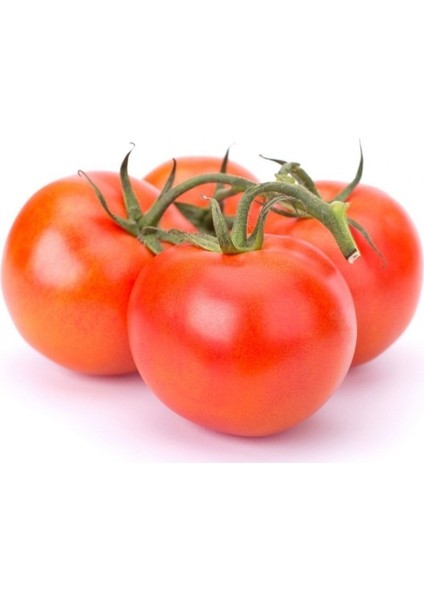 Tacirdepoticaret Hbrid Bt 720 F1 Oturak Domates Tohumu -20 Tohum