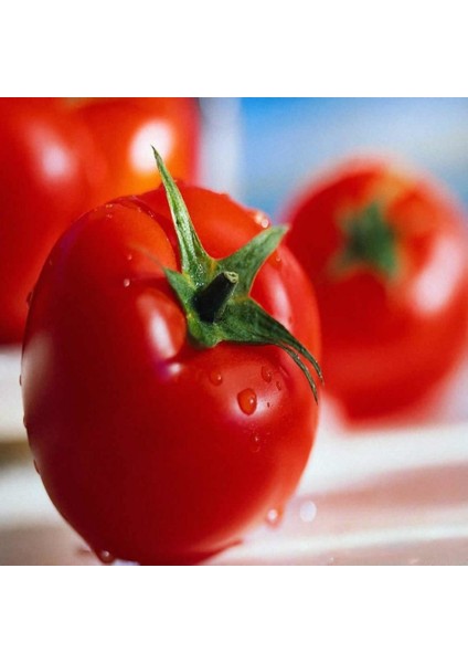 Tacirdepoticaret Lezzetli Taylin F1 Sırık Domates Tohumu -20 Tohum