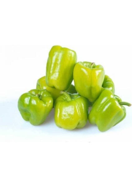 Tacirdepoticaret Doğal 11B14 Dik Dolmalık Biber Tohumu -245 Tohum