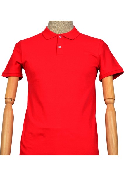 Polo Yaka Düz Slim Erkek T-shirt modelleri