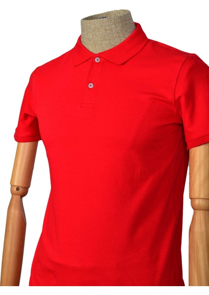 Polo Yaka Düz Slim Erkek T-shirt indirimleri