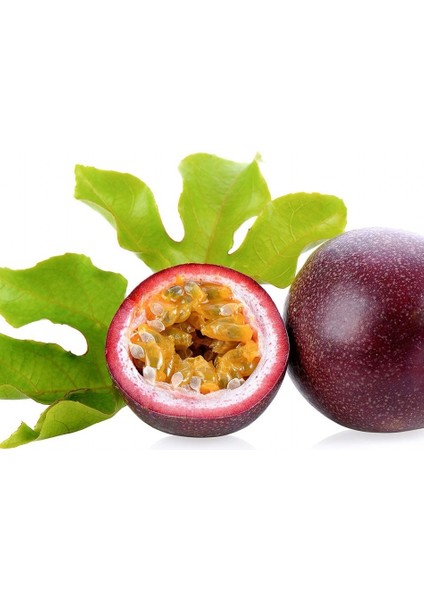 Tacirdepoticaret Tüplü Passiflora Edulis (Passion Fruit) (Aşk Meyvesi)