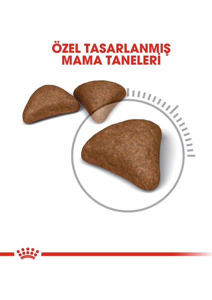 Intense Hairball Kedi Maması - 2 kg modelleri