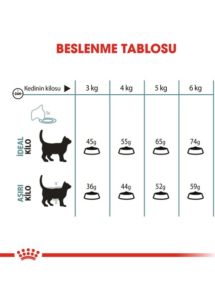Intense Hairball Kedi Maması - 2 kg fırsatları