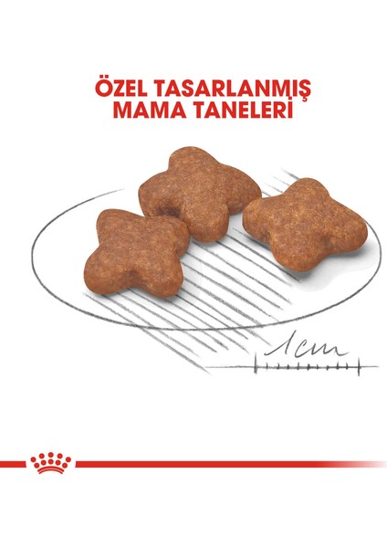 Mini Adult +8 Yaşlı Köpek Maması - 2 kg