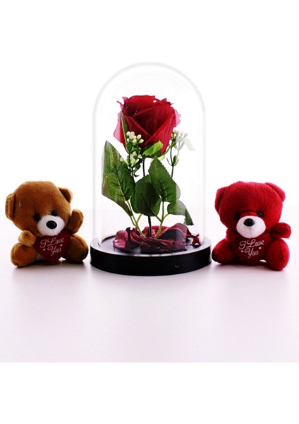 2 Adet Mini Ayıcıklar Fanusta LED Işıklı Kırmızı Gül ve Sevgiliye Eşe Hediye Seti STRGLBL75