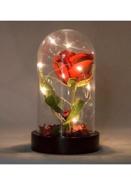 Fanusta LED Işıklı Kırmızı Gül ve Mini Ayıcık Set Sevgiliye Eşe Sürpriz Sevgiliye Hediye STRGLBL75