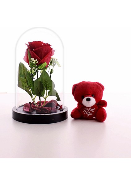 Fanusta LED Işıklı Kırmızı Gül ve Kırmızı Mini Ayıcık Sevgiliye Eşe Sürpriz Hediye Set Sevgiliye STRGLBL75