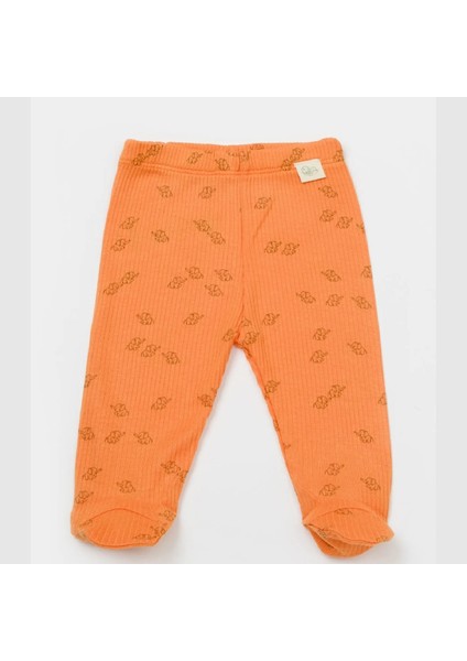 Organic Cotton 2 Li Patikli Bebek Pantolon CSYM1161