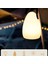 8 Çeşit Işık Dış Mekan LED Taşınabilir Masa Lambası USB Atmosfer Işığı (Yurt Dışından) 2