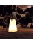 Yüksek Değerli Dış Mekan LED Taşınabilir Masa Lambası USB Atmosfer Işığı (Yurt Dışından) 2