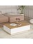 Delphin 90X60 cm Orta Sehpa 2 Kapaklı Çam-Beyaz DLP14-AW 1