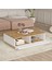 Delphin 90X60 cm Orta Sehpa 2 Kapaklı Çam-Beyaz DLP14-AW 4