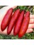 Tacirdepoticaret Tüplü Havyar Red Champagne Finger Lime Fidanı(Meyve Verme Yaşında) 1