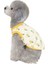2teddy Limonlu Atlet (Yurt Dışından) 3