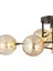 Maral 6Lı Siyah Gold Bal Camlı Modern Genç Odası Yatak Odası Retro Salon Avize 9