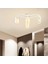 Erkin 4 Lü Bal Camlı Beyaz Modern Genç Odası Mutfak Salon Avize 1