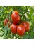 Tacirdepoticaret Doğal Medar F1 Sırık Domates Tohumu -20 Tohum 1