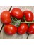 Tacirdepoticaret Hibrid F1 Efekan Oturak Domates Tohumu -20 Tohum 1