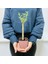 Tacirdepoticaret Bonsai Serisi Özel Üretim Pink Lüks Saksıda Hediyelik Zeytin Fidanı . 2