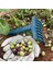 Zeytin Tırmığı + Zeytin Dilme Aparatı + Taşıma Çuvalı + Zeytin Sergeni Zeytin Toplama Tarağı ve Zeytin Çizme Aleti 5
