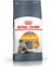 Hair Skin Care Kedi Maması - 4 kg 1