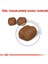 Oral Care Kedi Maması - 1,5 kg 4