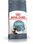 Intense Hairball Kedi Maması - 2 kg 1