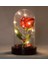 Fanusta LED Işıklı Kırmızı Gül ve Mini Ayıcık Set Sevgiliye Eşe Sürpriz Sevgiliye Hediye STRGLBL75 2
