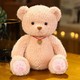  Renk Pembe