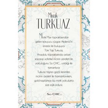 So CHIC Büyülü Turkuaz 18 Ayar Sarı Altın Kaplama Doğal Taşlı Gümüş Küpe