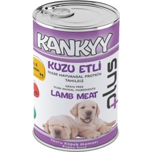 Kankyy Kuzu Etli Konserve Yaş Yavru Köpek Maması 415GR x 12 Adet