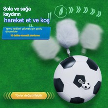 Beyond Store Elektrikli Futbol Kedi Oyuncağı (Yurt Dışından)