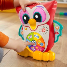 Fisher-Price Linkimals Bilge Baykuş - Türkçe, En Az 18 Aylık Olan Yürüme Çağındaki Çocuklar İçin Işıklı, Hareketli, İnteraktif ve Müzikli Eğitici Oyuncak Hjn61