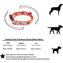 Petsfect Lovely Time Köpek Boyun Tasması