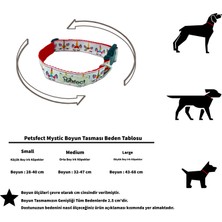 Petsfect Mystic Köpek Boyun Tasması