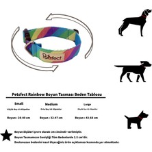 Petsfect Rainbow Köpek Boyun Tasması