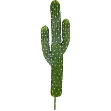 Nettenevime Yapay Çiçek Kaktüs Ağacı 3kollu 43*15CM SK4019