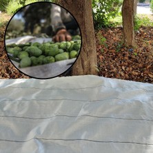 Sera Trend 5X10 Metre Zeytin Sergeni Zeytin Toplama Örtüsü Fındık Fıstık Dut Toplama Filesi Beyaz Hasat Taban Örtüsü