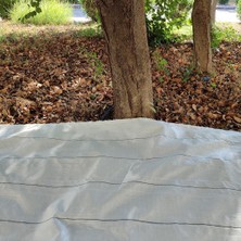 Sera Trend 5x3 Metre Zeytin Sergeni Zeytin Toplama Örtüsü Fındık Fıstık Dut Toplama Filesi Beyaz Hasat Taban Örtüsü