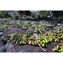 Sera Trend 5x8 Metre Zeytin Sergeni Zeytin Toplama Örtüsü Fındık Fıstık Dut Toplama Filesi Hasat Taban Örtüsü