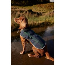 Barbour Wetherham Ekose Köpek Montu NY91 Blackwatch Tartan