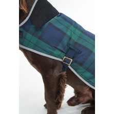 Barbour Wetherham Ekose Köpek Montu NY91 Blackwatch Tartan