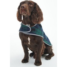 Barbour Wetherham Ekose Köpek Montu NY91 Blackwatch Tartan