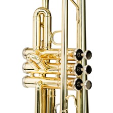 Duffon DFT600 Trompet