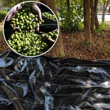 Sera Trend 5x5 Metre Zeytin Sergeni Zeytin Toplama Örtüsü Fındık Fıstık Dut Toplama Filesi Hasat Taban Örtüsü