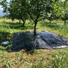 Sera Trend 5x5 Metre Zeytin Sergeni Zeytin Toplama Örtüsü Fındık Fıstık Dut Toplama Filesi Hasat Taban Örtüsü