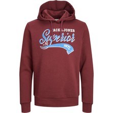 Jack & Jones Erkek Kapşonlu Sweatshirt 12233597